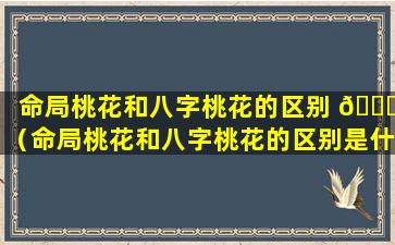 命局桃花和八字桃花的区别 🕊 （命局桃花和八字桃花的区别是什 🦄 么）